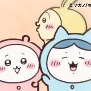 KMの画像