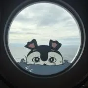 りまの画像