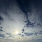 きんたろう
