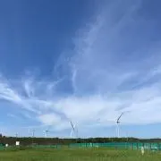 ゆるゆるいこうの画像