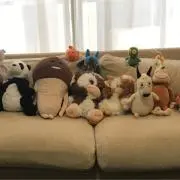 たむたむの画像