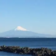 ゆうちゃん プロフ必読！お値下げします！
