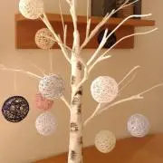 まつぼっくりの画像