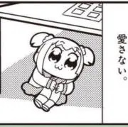 スーパー小児膝の画像