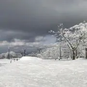 加藤
