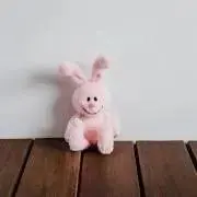 Hungry Rabbitの画像
