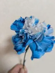 ニニ