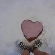 yの画像