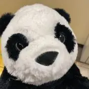ポムの画像