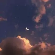 Kona♡の画像