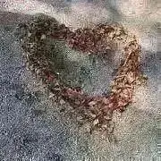 おかし＊プロフ必読の画像
