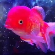 takeee ◉ 引っ越しのため大幅値下の画像