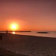 たあちの画像