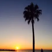 グリーン