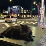 fanganの画像