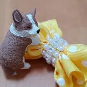 シフォンの画像