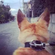 みずたまの画像