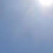 hochaの画像
