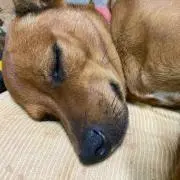 ちゅら