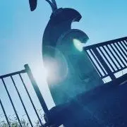 ゆぅ