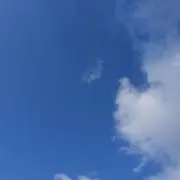 はち！