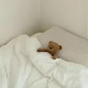 ミの画像