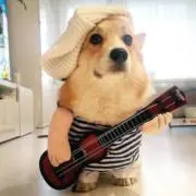 R :)の画像