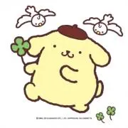 ぴの画像