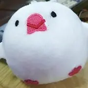 crea  プロフ必読☆