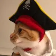 uruの画像