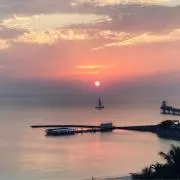 Tianの画像