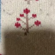 ひとちゃんの画像