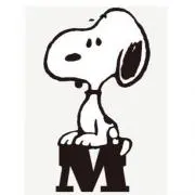 mappyの画像