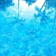 たま ※プロフ必須の画像