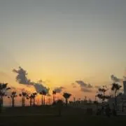 ncの画像