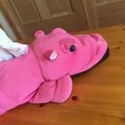 Niwaの画像