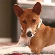 ねち