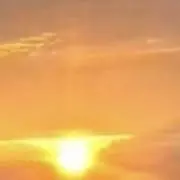 lil Oneの画像