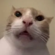 26270504_6