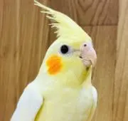 ☆marron☆プロフィール読んで下さいの画像