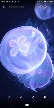 ゆるゆら