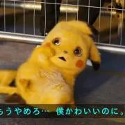 どう