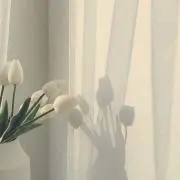たまご