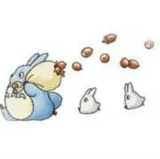 どんぐりの画像