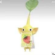 ぴぐの画像