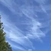 いなりの画像