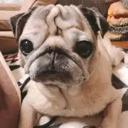 そらちゃん