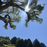 Ａ♡プロフ必読願いますの画像