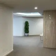 かもめの画像