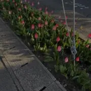 yuの画像